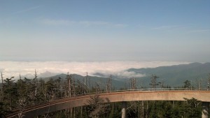 There is a ramp up to the Tower at Clingman's Dome. Yes, those are clouds. I'm higher than them. 